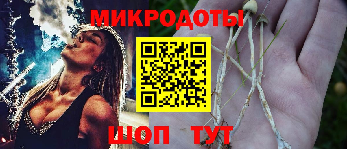 Псилоцибиновые грибы GOLDEN TEACHER Майкоп
