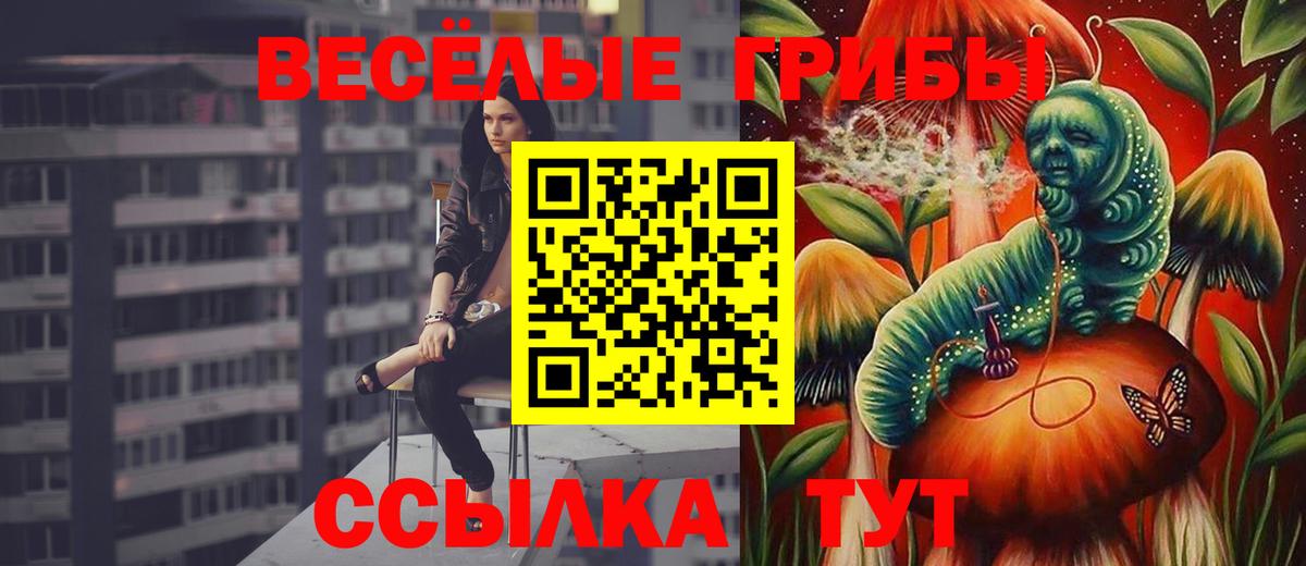 Псилоцибиновые грибы мухоморы  Вход с VPN  Майкоп 